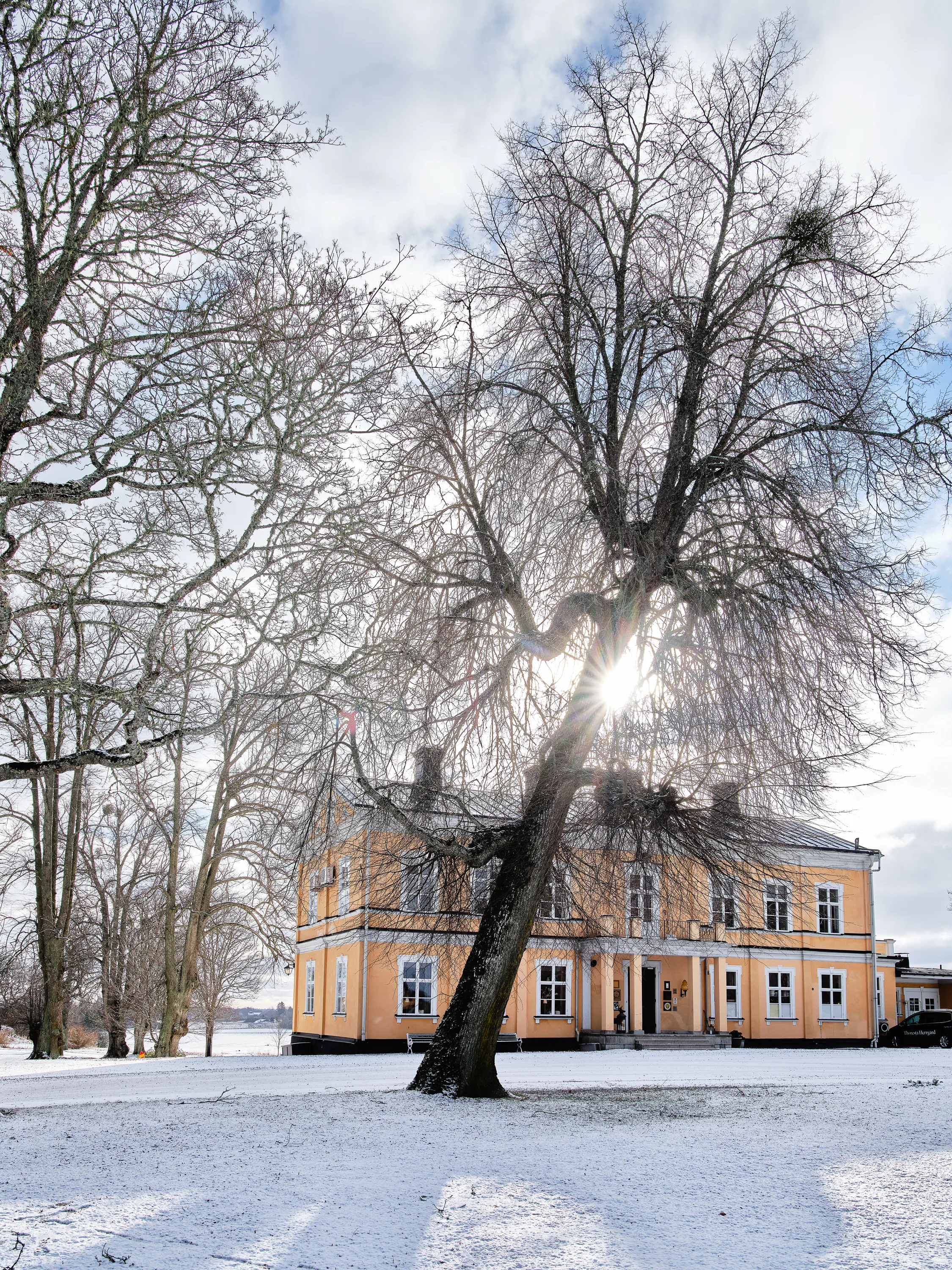 Julbord på Thoresta Herrgård i vinter