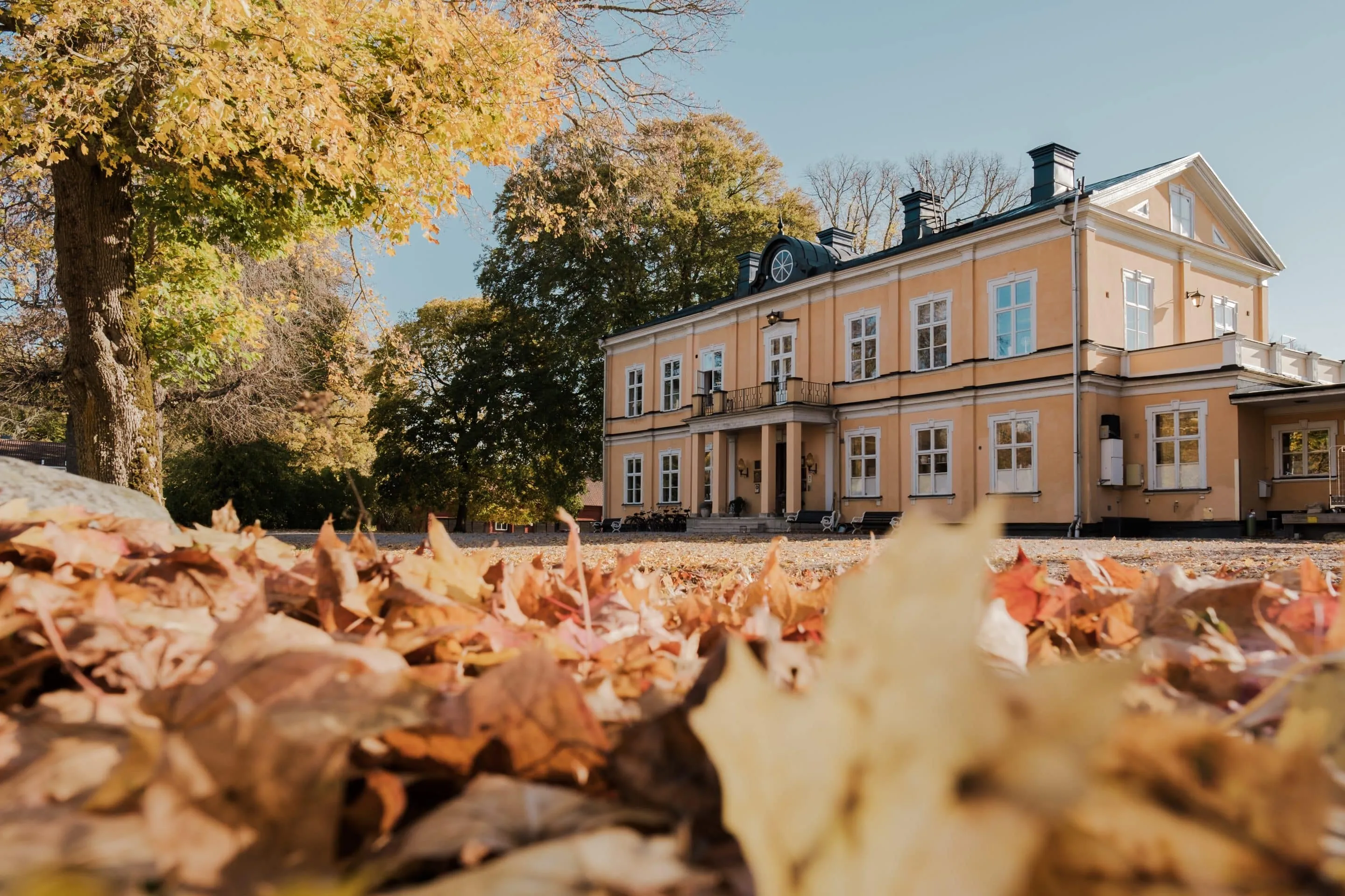 Wildlife dinner at Thoresta Herrgård