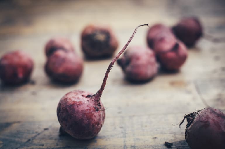 betor från trädgården